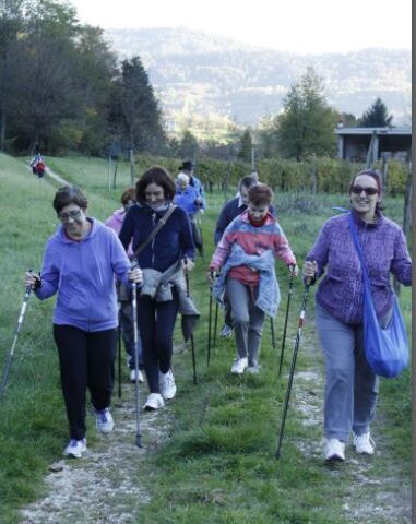 nordic walking 2015.jpg