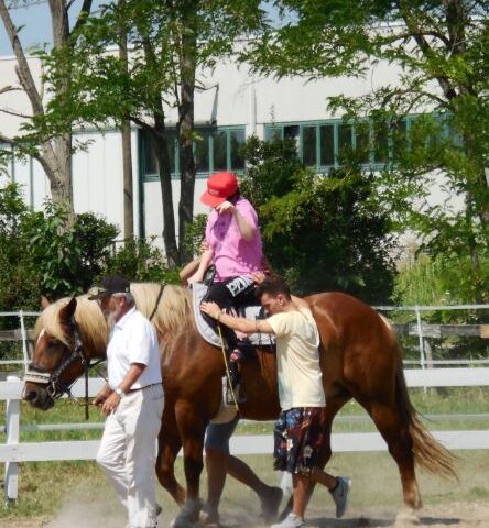 riabilitazione a cavallo san dona